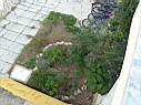 Apartmani MISE